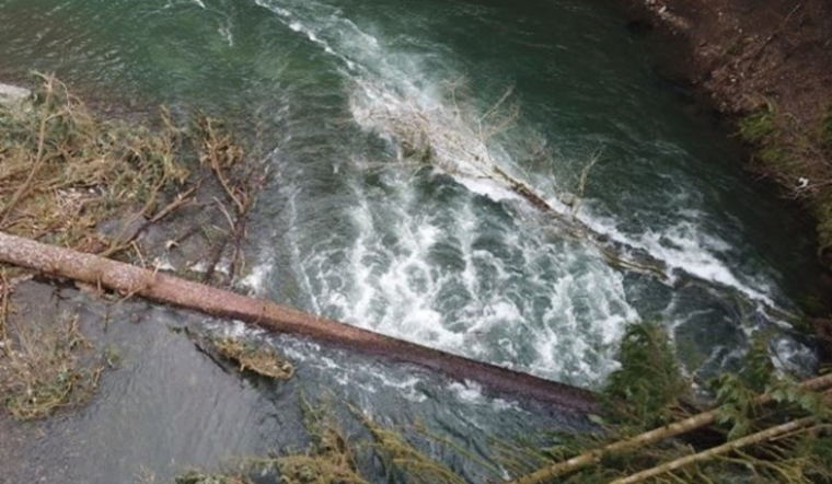 Oregon Boaters Warned of Navigational Hazards Amidst Storms and Fallen Trees
