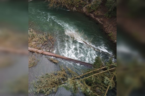 Oregon Marine Board Issues Safety Advisory for Boaters Amidst River Obstructions from Winter Storms
