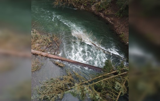 Oregon Marine Board Issues Safety Advisory for Boaters Amidst River Obstructions from Winter Storms