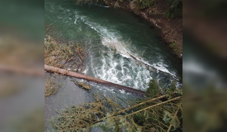 Oregon Marine Board Issues Safety Advisory for Boaters Amidst River Obstructions from Winter Storms