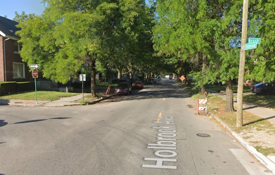 Over 20 Vehicles Vandalized in Detroit's North End, Police Seek Suspect on Camera Footage