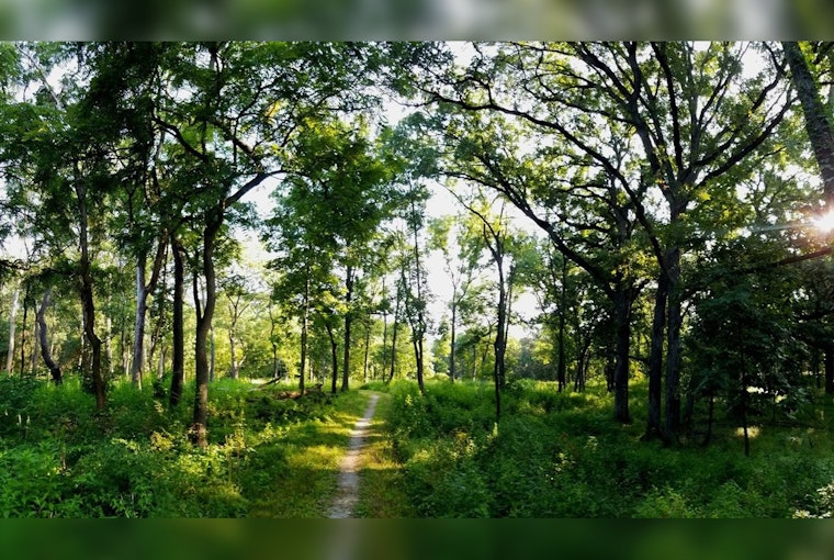 Palos Preserves in Cook County Embark on $10 Million Eco-Friendly Restoration Project