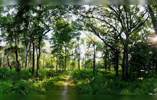 Palos Preserves in Cook County Embark on $10 Million Eco-Friendly Restoration Project