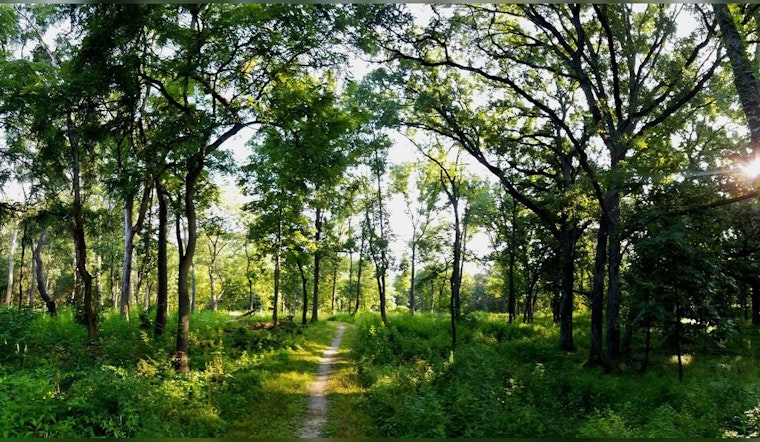 Palos Preserves in Cook County Embark on $10 Million Eco-Friendly Restoration Project