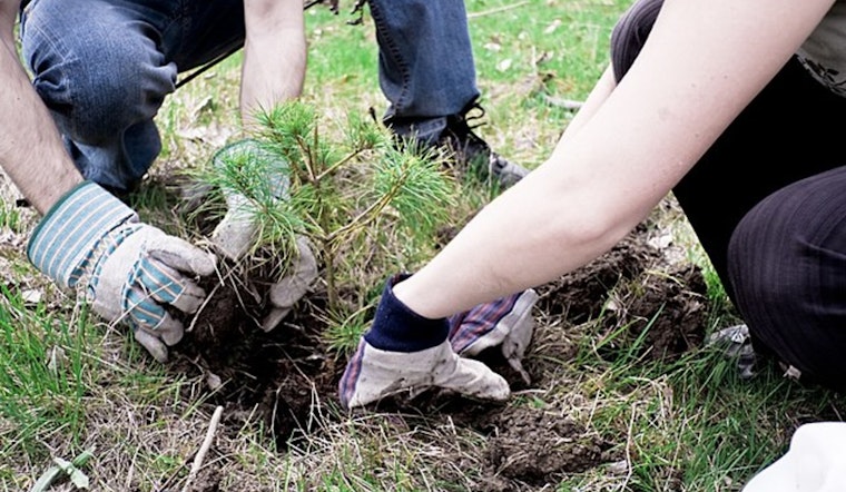 Peoria Celebrates Earth Week with Tree Planting, Cleanup Events, and Sustainability Workshops