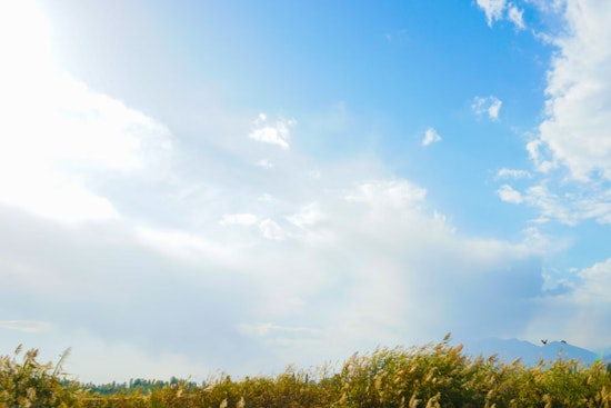 Philadelphia Basks in Sunny Skies Today Ahead of Showers Midweek, NWS Reports
