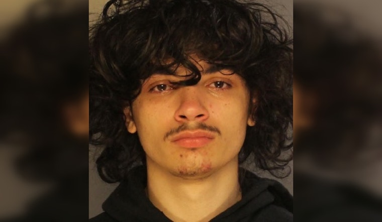 Philadelphia Man Pleads Guilty to Fatal Carjackings of Food Delivery Driver, Faces Life in Prison