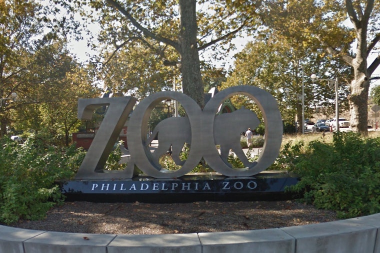 Philadelphia Zoo Animals Unfazed by Solar Eclipse as Visitors Engage in Citizen Science