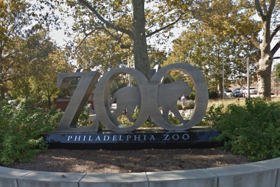 Philadelphia Zoo Animals Unfazed by Solar Eclipse as Visitors Engage in Citizen Science