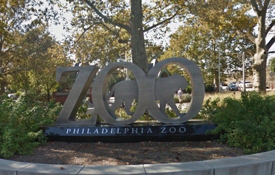 Philadelphia Zoo Animals Unfazed by Solar Eclipse as Visitors Engage in Citizen Science