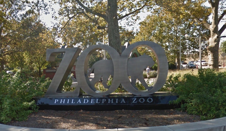 Philadelphia Zoo Animals Unfazed by Solar Eclipse as Visitors Engage in Citizen Science