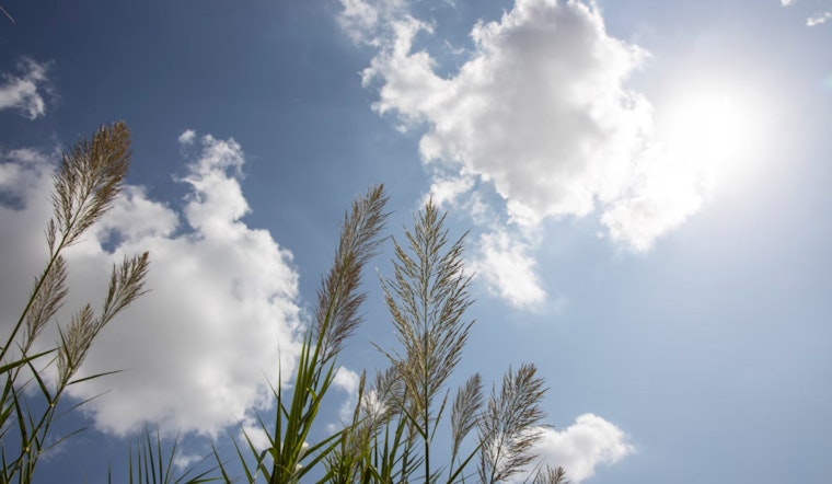 Phoenix Forecasts Sizzling Week Ahead with Clear Skies and Rising Temperatures