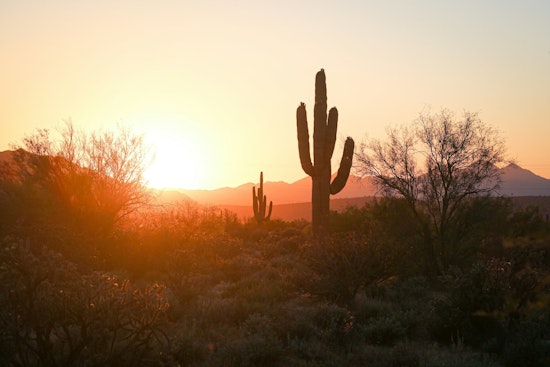Phoenix to Feel the Heat with Weeklong Warming Trend, Nearing 96 Degrees Friday