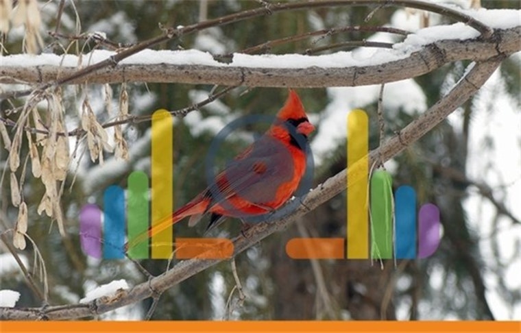 Photographic Prowess: Blaine Residents Capture Winter's Charm in Award-Winning Contest