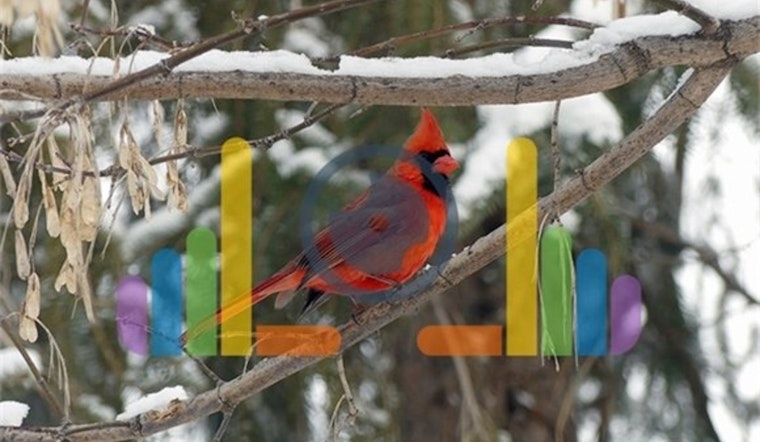 Photographic Prowess: Blaine Residents Capture Winter's Charm in Award-Winning Contest