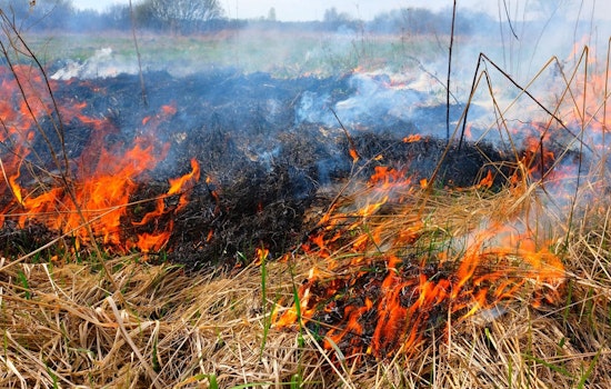Plymouth Launches Prescribed Burns at Parks to Rejuvenate Native Ecosystems