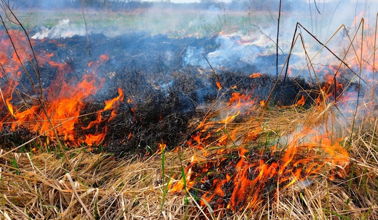 Plymouth Launches Prescribed Burns at Parks to Rejuvenate Native Ecosystems