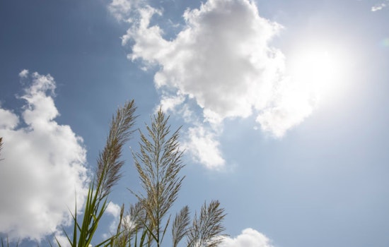 Portland Enjoys Sunny Weekend with Mild Temperatures and Possible Light Showers