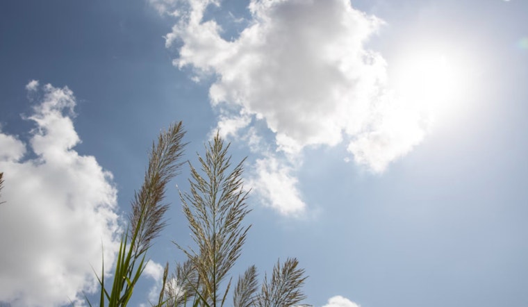 Portland Enjoys Sunny Weekend with Mild Temperatures and Possible Light Showers