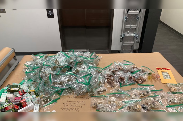 Portland Mother Sentenced for Selling Drugs With Young Children in Tesla During Undercover Sting