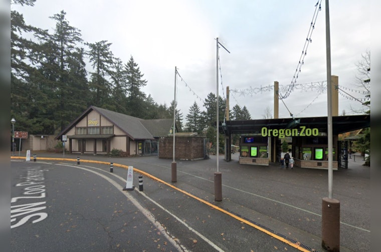 Portland Voters to Decide Fate of Oregon Zoo with $380 Million Bond Measure in May Ballot
