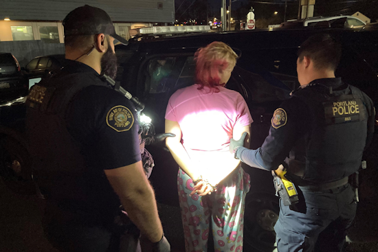 Portland Woman Charged with Multiple Burglaries as Police Crack Down on Property Crime Spree
