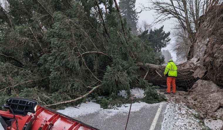 President Biden Approves Federal Disaster Relief for Oregon After January Ice Storms