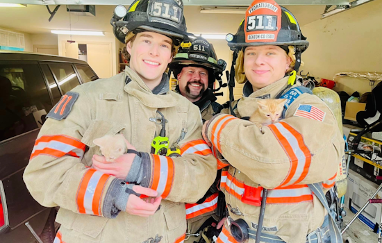 Quick Response by Denton County Emergency Crews Averts Disaster in Bartonville Fire, Kittens Rescued