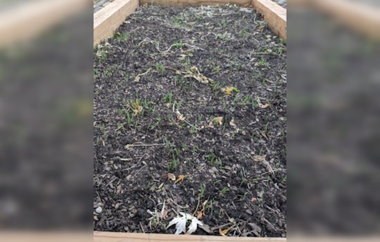 Ramsey County Leads with Soil Health Initiatives to Forge a Sustainable Future