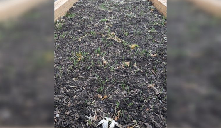 Ramsey County Leads with Soil Health Initiatives to Forge a Sustainable Future