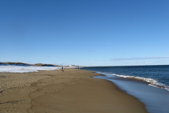 Salisbury Homeowners Appeal for State Aid Against Storm Erosion Threatening Beachfront Properties