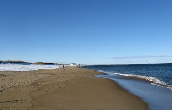 Salisbury Homeowners Appeal for State Aid Against Storm Erosion Threatening Beachfront Properties