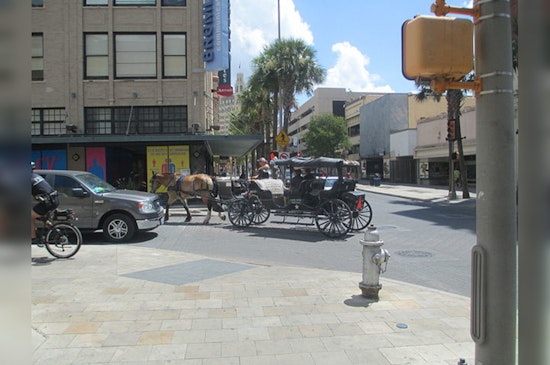 San Antonio Committee Debates Future of Historic Horse-Drawn Carriages Amid Animal Welfare Concerns