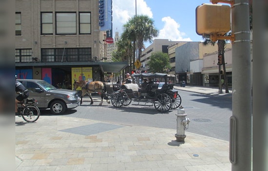 San Antonio Committee Debates Future of Historic Horse-Drawn Carriages Amid Animal Welfare Concerns