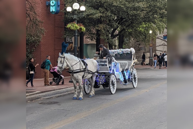 San Antonio Council Considers Replacing Horse-Drawn Carriages with Electric, Pedicabs Amid Animal Welfare Concerns