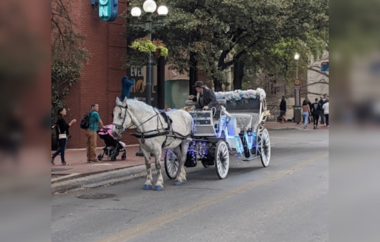 San Antonio Council Considers Replacing Horse-Drawn Carriages with Electric, Pedicabs Amid Animal Welfare Concerns