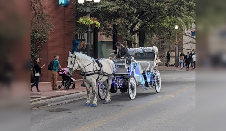 San Antonio Council Considers Replacing Horse-Drawn Carriages with Electric, Pedicabs Amid Animal Welfare Concerns