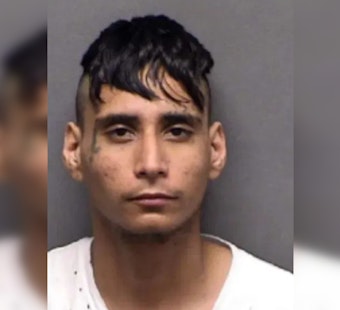 San Antonio Man Charged with Animal Cruelty for Fatally Throwing Dog Over Fence