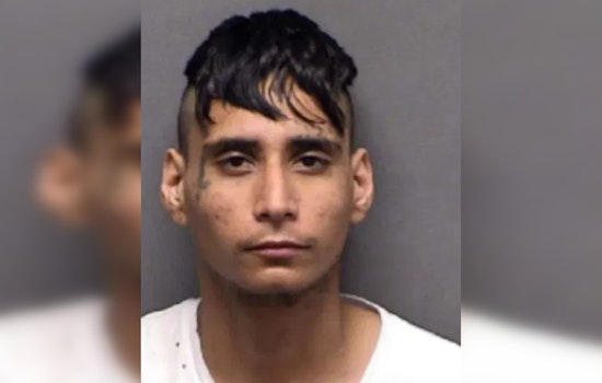 San Antonio Man Charged with Animal Cruelty for Fatally Throwing Dog Over Fence