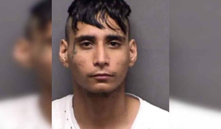 San Antonio Man Charged with Animal Cruelty for Fatally Throwing Dog Over Fence