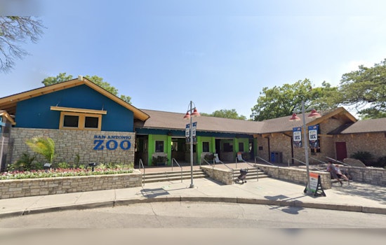 San Antonio Zoo Offers $8 Admission for Fiesta Celebration, Showcasing Culture and Conservation