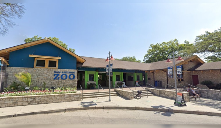San Antonio Zoo Offers $8 Admission for Fiesta Celebration, Showcasing Culture and Conservation