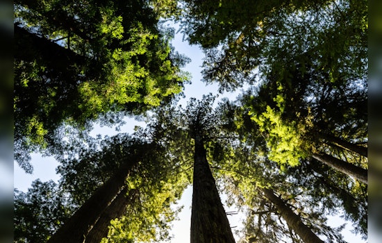 San Antonio's Texas Hill Country Faces Conservation Challenges Amidst Biodiversity Boom