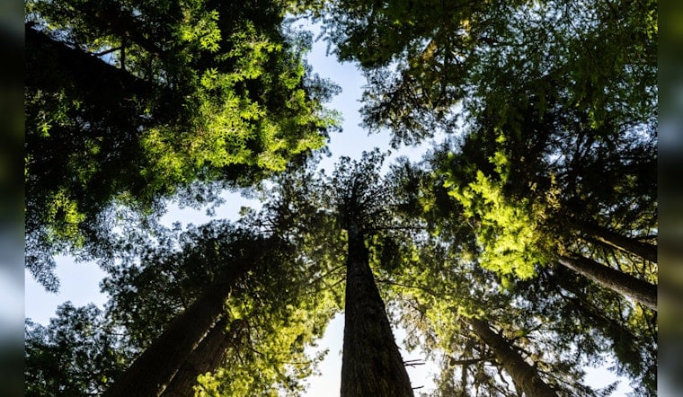 San Antonio's Texas Hill Country Faces Conservation Challenges Amidst Biodiversity Boom