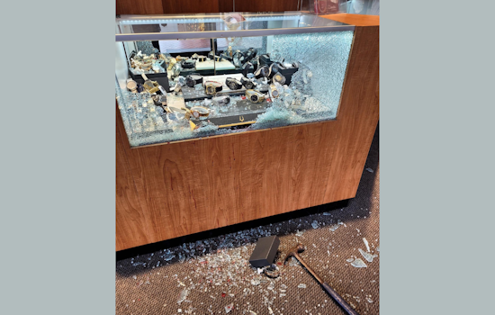 San Diego Man Charged with Daylight Robbery of La Mesa Jewelry Store Using Hammer