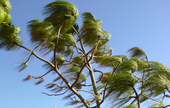 San Diego Weather: NWS Issues Wind Advisory, Cooling Trend to Follow with Gusty Conditions