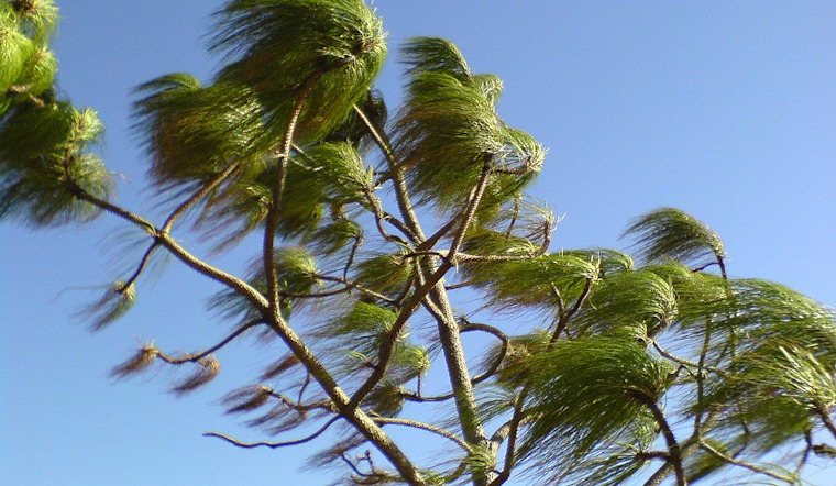 San Diego Weather: NWS Issues Wind Advisory, Cooling Trend to Follow with Gusty Conditions