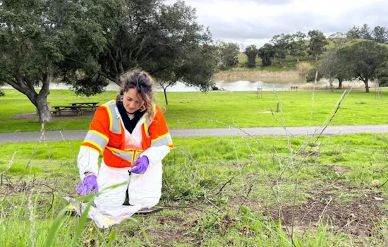 Santa Clara Vector Control Hones in on Flea-Borne Diseases in County Parks