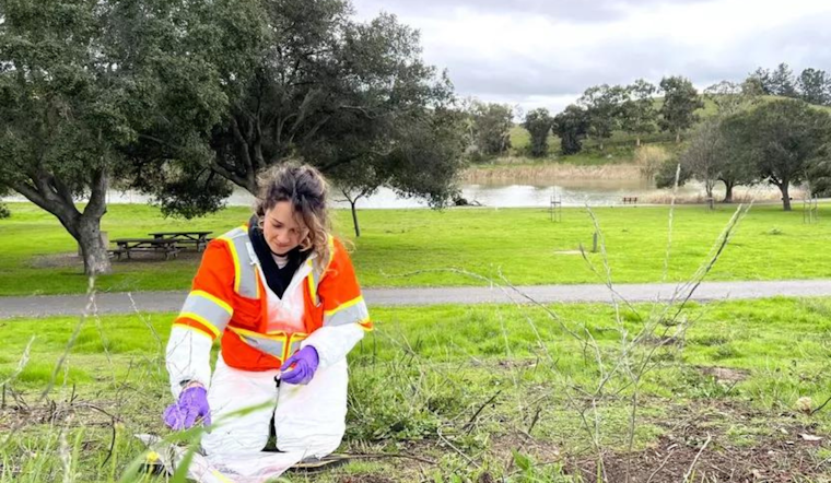 Santa Clara Vector Control Hones in on Flea-Borne Diseases in County Parks