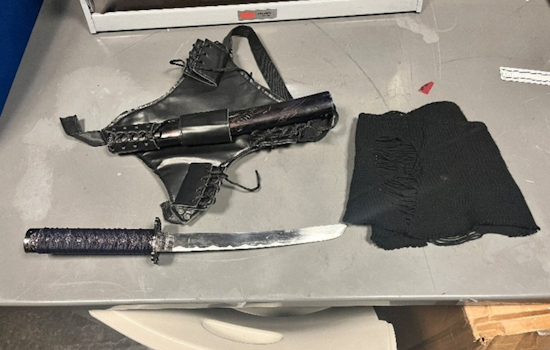 Santa Rosa Sword-Wielding Transient Suspected in Daytime Robbery Arrested